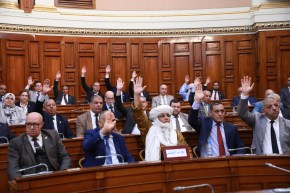 أعضاء مجلس الأمة يصادقون على قانون تجريم الاستعمار الفرنسي