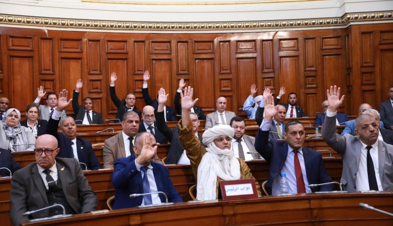 أعضاء مجلس الأمة يصادقون على قانون تجريم الاستعمار الفرنسي