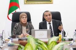 وزير الطاقة يبحث مع المحافظة السامية للرقمنة سبل تعميم الحلول الرقمية