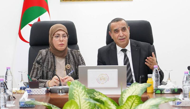 وزير الطاقة يبحث مع المحافظة السامية للرقمنة سبل تعميم الحلول الرقمية