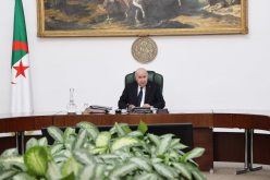 الرئيس تبون يأمر بتسريع تطوير قطاع المناجم وبلوغ تصدير الفوسفات في 2027