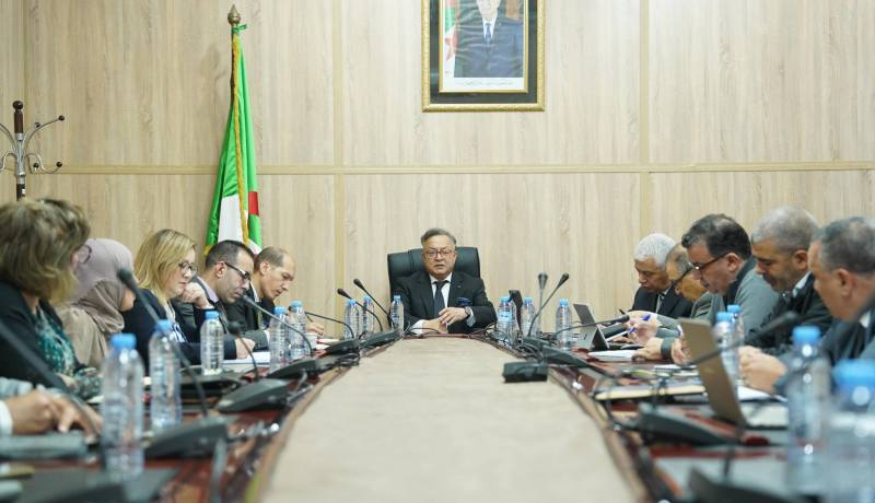 بداري يلتقي بفوج عمل متخصص في المناجم والأتربة النادرة