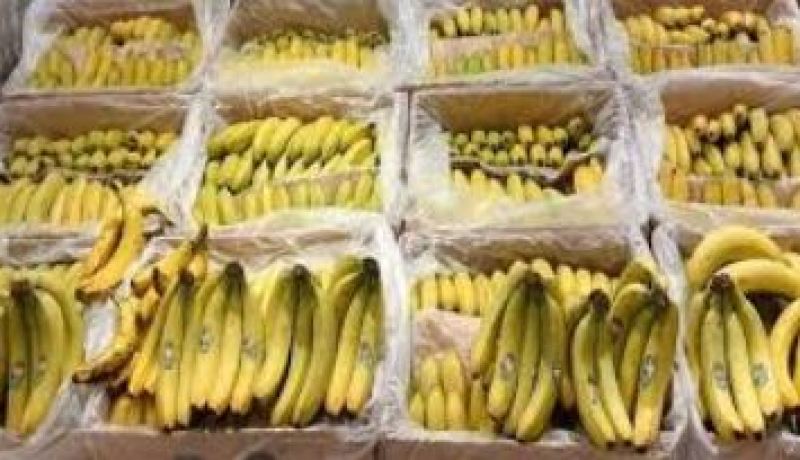 سوق أهراس.. توقيف شخص وحجز 4 قناطير من الموز موجهة للمضاربة