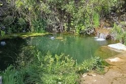 سطيف.. وفاة طفلين غرقا بعين لقراج وقجال