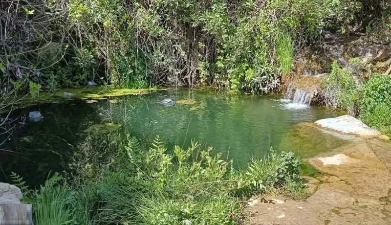 سطيف.. وفاة طفلين غرقا بعين لقراج وقجال