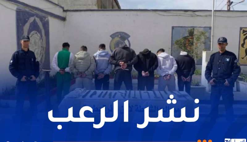 وهران: الإطاحة بعصابة أحياء مسلحة وإيداع 7 أشخاص