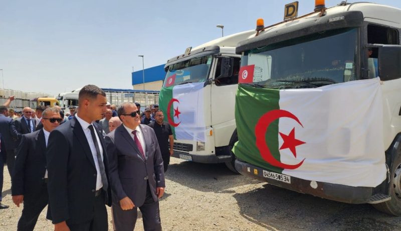 غدا السبت.. انطلاق أكبر عملية تصدير نحو 19 دولة