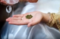 العريس الميسور فرصتي بالرغم من رفض عائلتي