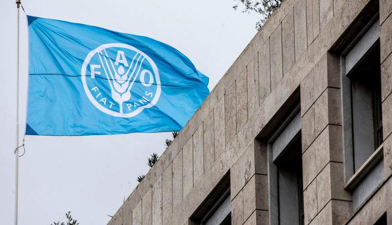 ارتفاع أسعار الغذاء عالمياً