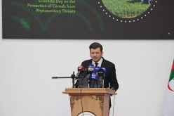 وزارة الفلاحة تطلق قرض المورد لدعم موسم الحبوب 2025-2026