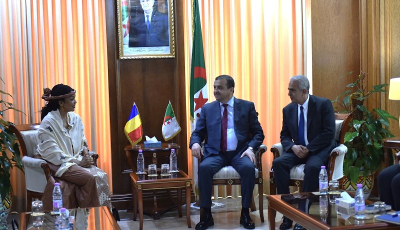 الجزائر وتشاد تعززان شراكتهما في مجالي المحروقات والمناجم