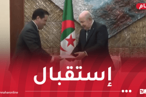 رئيس الجمهورية يستقبل الوزير الأول الموريتاني