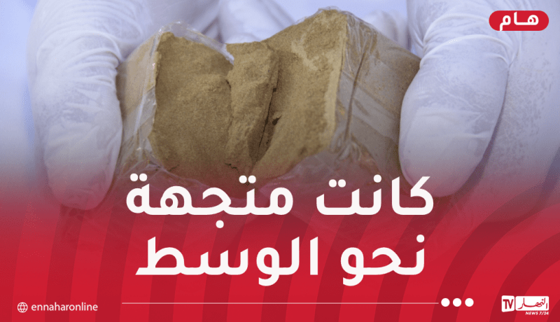 النعامة.. حجز أزيد من قنطار كيف مصدره المغرب