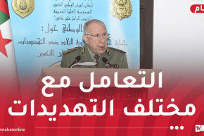 الفريق أول شنقريحة: الجيش يضطلع بدور أساسي في تأمين المنشآت الاستراتيجية