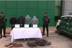 الدرك الوطني بتيارت يفكك شبكتين متخصصتين في سرقة الكوابل النحاسية