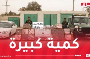 حجز أزيد من 6 ملايين قرص مهلوس وتوقيف 155 تاجر مخدرات