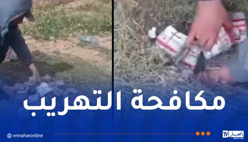 إحباط تهريب نحو 50 ألف قرص “بريغابالين” مخبأة داخل رزم علف بالمسيلة