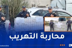 توقيف 3 أشخاص وحجز 66 ألف كيس شمة و5 آلاف علبة سجائر