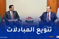 352 مليون دولار مبادلات تجارية بين الجزائر وموريتانيا