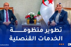 شايب يتباحث سبل تطوير وعصرنة الخدمات القنصلية مع وزيرة الرقمنة