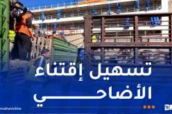 تحسبا لعيد الأضحى.. جاهزية الهياكل المخصصة لاستقبال وتجميع الماشية المستوردة