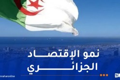 الجزائر في المرتبة الرابعة عربيا ضمن أكبر الإقتصادات لسنة 2026