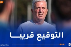 رسميا.. بيتكوفيتش يوافق على تمديد عقده مع “الخضر”