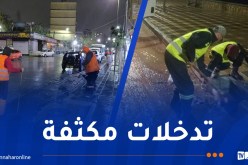ولاية الجزائر: تواصل التدخلات الميدانية للتكفل بآثار ومخلفات التقلبات الجوية
