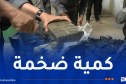 إحباط محاولة تهريب أكثر من 4 قناطير مخدرات باستعمال “الإبل” ببشار
