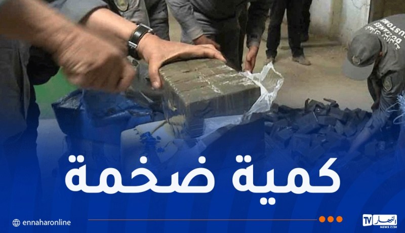 إحباط محاولة تهريب أكثر من 4 قناطير مخدرات باستعمال “الإبل” ببشار