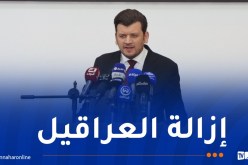 وزير الفلاحة: اتخاذ جملة من الإجراءات العملية لدعم مهنيي شعبة الطماطم