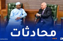 وزير الخارجية يجري محادثات مع نظيره التشادي