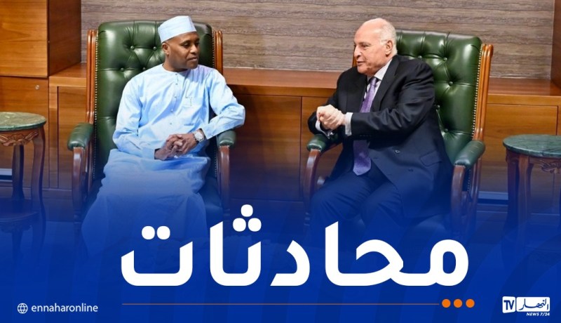 وزير الخارجية يجري محادثات مع نظيره التشادي