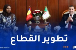 وزير النقل يتباحث تعزيز التعاون في الشحن الجوي والبحري مع التشاد