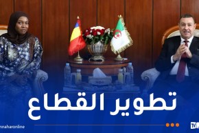 وزير النقل يتباحث تعزيز التعاون في الشحن الجوي والبحري مع التشاد