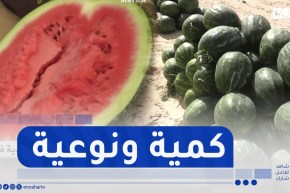 الوادي: بمردودية فاقت 600 قنطار في الهكتار..بطيخ مقرن يقتحم الأسواق الخارجية