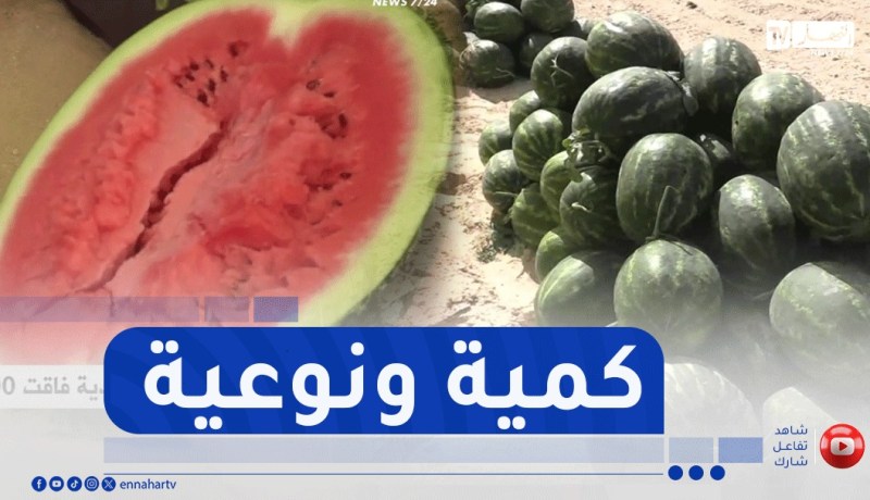 الوادي: بمردودية فاقت 600 قنطار في الهكتار..بطيخ مقرن يقتحم الأسواق الخارجية