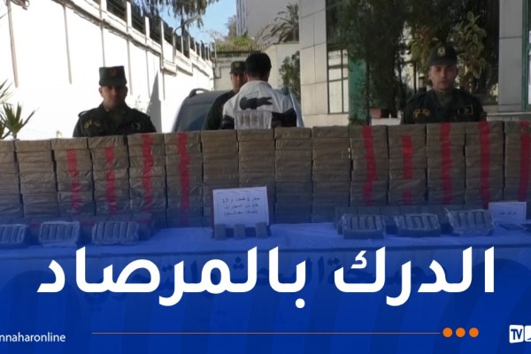 العاصمة.. تفكيك شبكة تهريب مخدرات وحجز أكثر من قنطار “زطلة”