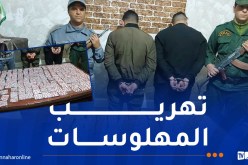 جمارك الأغواط تحجز أزيد من 24 ألف قرص مهلوس