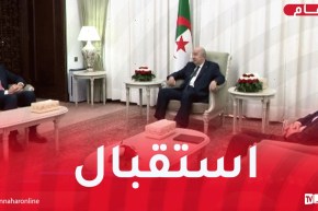 رئيس الجمهورية يستقبل السفير الإيطالي