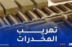 حجز أزيد من 36 كلغ كيف معالج بالشلف