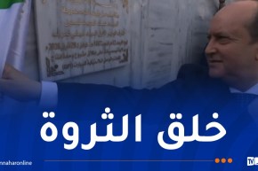 الوزير الأول يطلق مشروع وحدة إنتاج مكونات ولواحق السيارات بتيسمسيلت