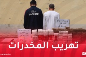 ضبط 8 كلغ كوكايين وإحباط إدخال أزيد من قنطارين كيف قادمة من المغرب