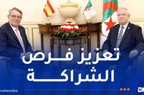 ناصري يستقبل سفير مملكة إسبانيا بالجزائر