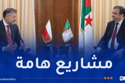 عرقاب يبحث سبل تعزيز التعاون الطاقوي والإستثمار مع بولندا