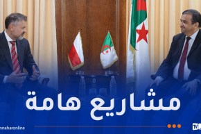 عرقاب يبحث سبل تعزيز التعاون الطاقوي والإستثمار مع بولندا