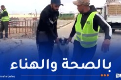 تحسبا لعيد الأضحى.. الشروع في بيع الأضاحي المستوردة