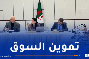 وزيرة التجارة تستمع لانشغالات مستوردي اللحوم الحمراء