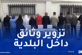 شرطة العاصمة توقف 11 شخصا وتضبط 11 جواز سفر مزوّر
