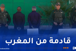 غليزان.. تفكيك شبكة إجرامية عابرة للحدود وحجز 67 كلغ كيف